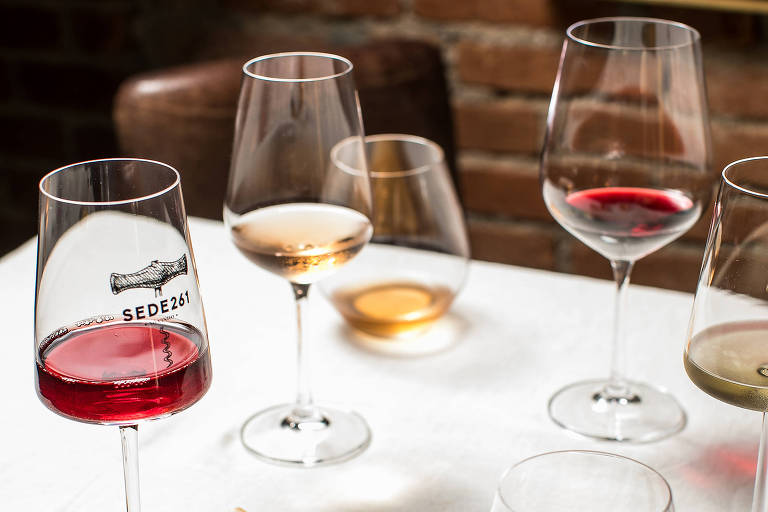 Mesa com diferentes vinhos