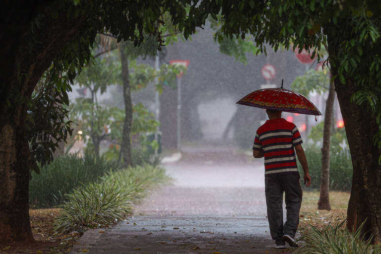 São Paulo deve ter última semana de novembro com muita chuva