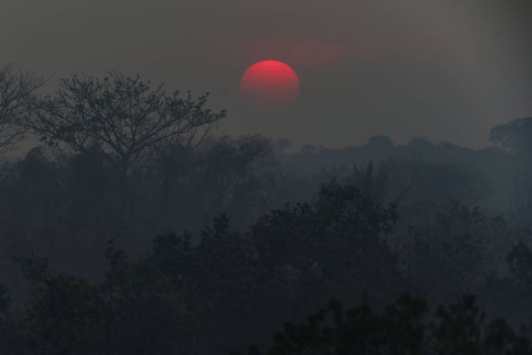 Queimadas na Amazônia cobrem de fumaça cidades no Amazonas
