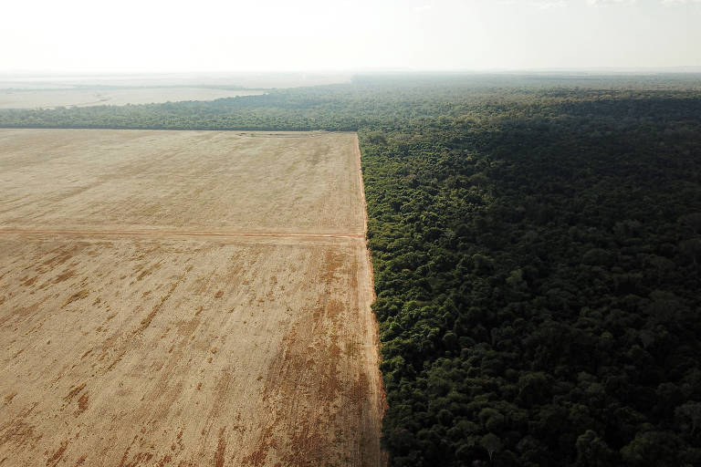 Maior parte do financiamento climático para uso da terra no Brasil vai para agropecuária