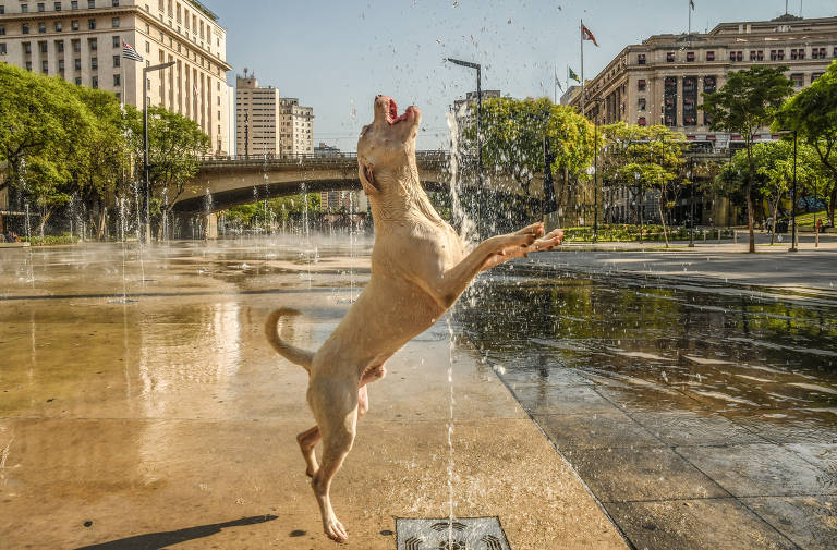 Com o fim do El Niño e a chegada da La Niña, Brasil não deve ter ondas extremas de calor em 2024