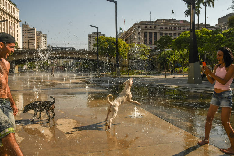 Calor ganha força após julho e agosto mais quentes já registrados