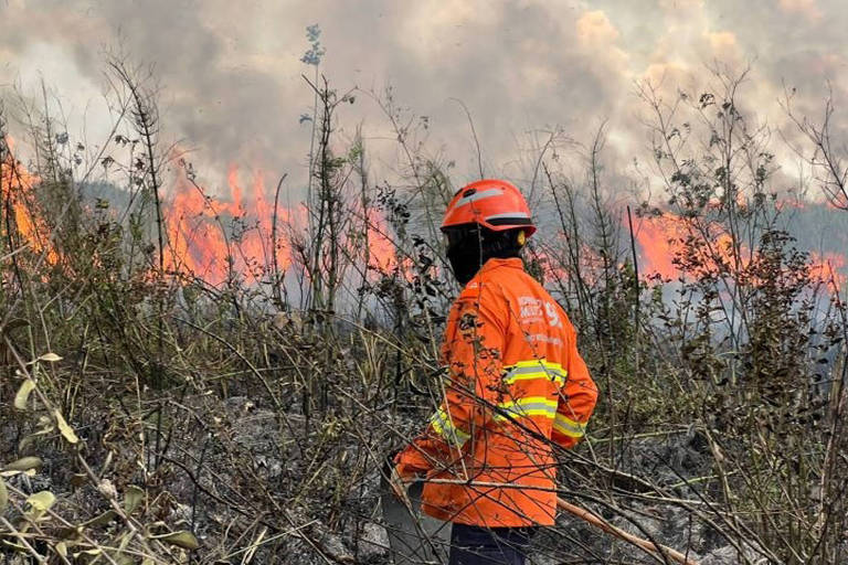Incêndio em Bonito (MS) atinge 500 hectares do pantanal