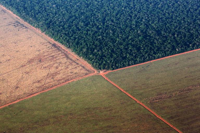 Foto aérea de áreas de diferentes características e cores: ao alto, uma área de floresta e, abaixo, área com a terra exposta e também com gramado verde baixo