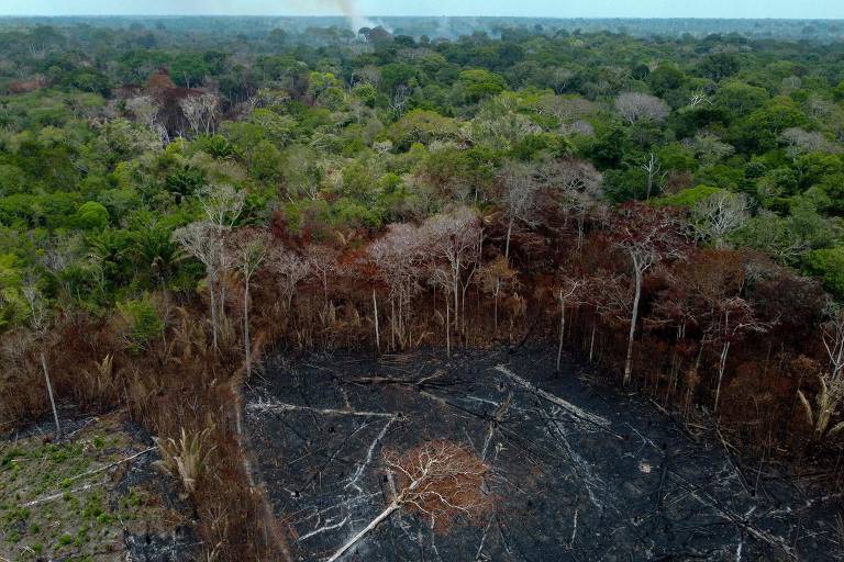 Indígenas combatem fogo às margens da BR-319 no Amazonas