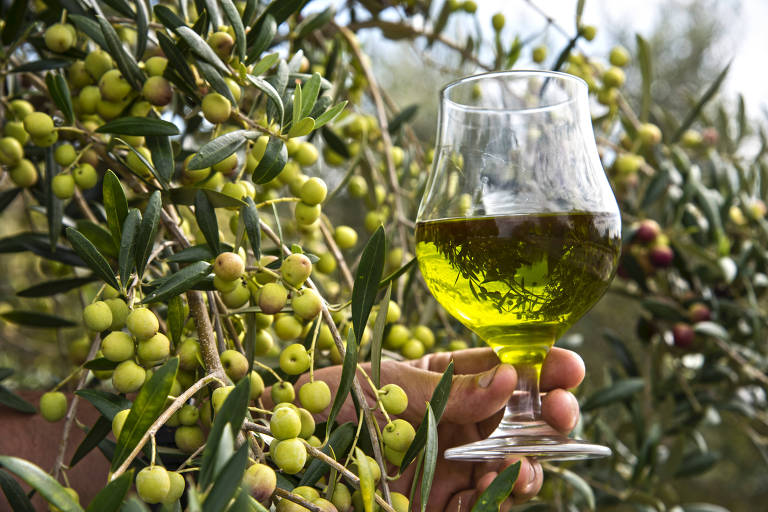 Clima afeta oliveiras e preço do azeite mantém forte aceleração