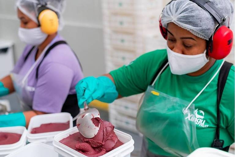 Funcionárias em linha de produção da Xingu Fruit, em Castanhal (PA), que faz beneficiamento de açaí