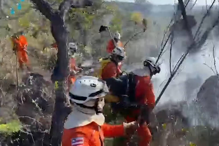 Bombeiros usam mangueiras para lançar água na vegetação