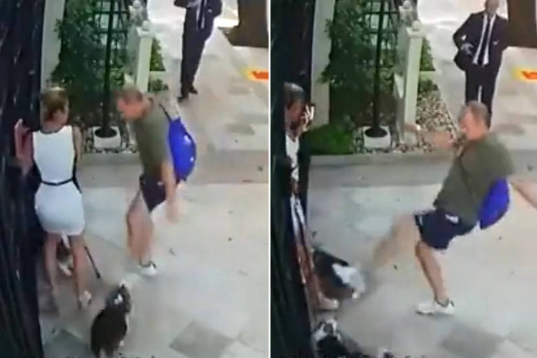 Reprodução de vídeo mostra homem chutando cachorros da irmã do ministro Cristiano Zanin; segundo juíza, ele reagiu a ataque dos cães