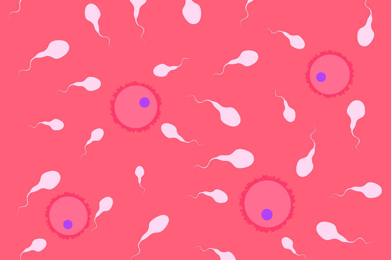 Quanto realmente sabemos sobre a nossa própria fertilidade?