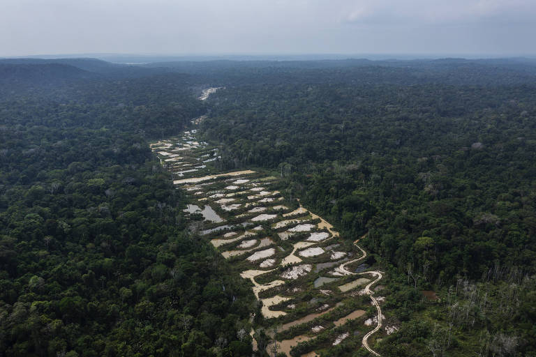 Vista de drone de áreas abertas de garimpo no meio da floresta