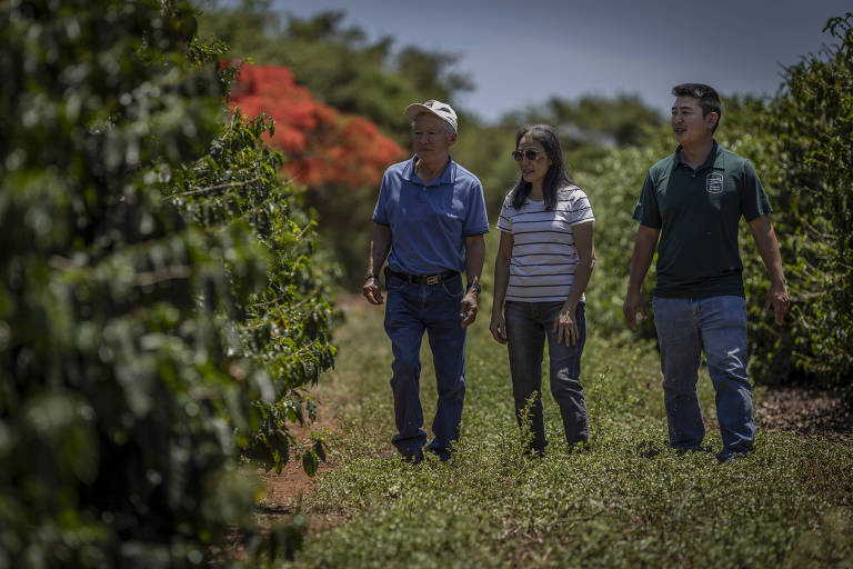 Filhos se unem aos pais para produzir café premium no Vale do Jequitinhonha