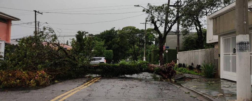 Chuva forte com ventania derruba árvore no Planalto Paulista