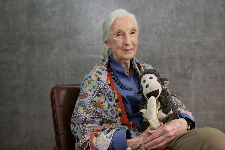 O legado de Jane Goodall