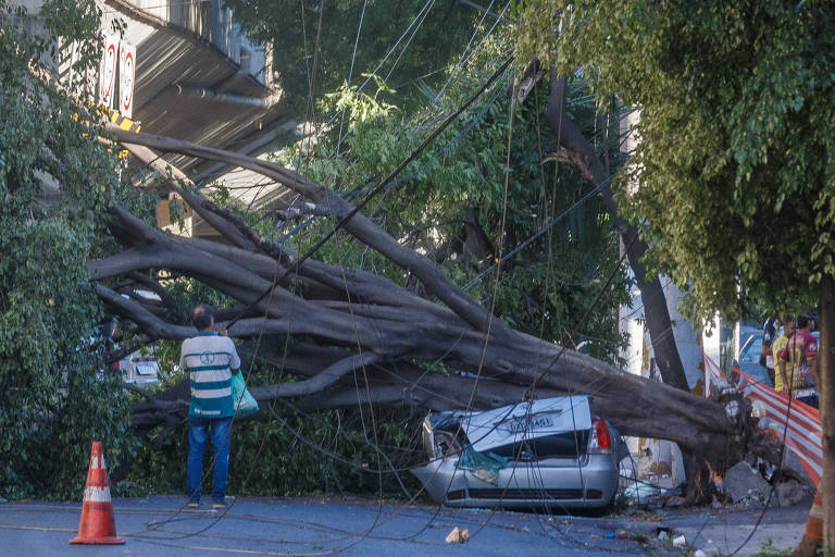 Cenário de destruição em São Paulo após tempestade