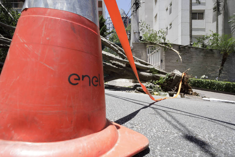 Contra apagões, Enel anuncia poda de árvores, mais geradores e contratação de eletricistas em SP