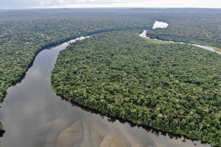 Banco do Brasil negocia com Pará empréstimo inédito para preservar Amazônia