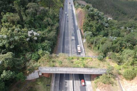 SÃO PAULO (SP) - 13.11.23 - Viaduto vegetado da rodovia dos Tamoios, principal ligação ao litoral norte de São Paulo; estrutura foi a primeira do tipo a ser construída em estradas de São Paulo
