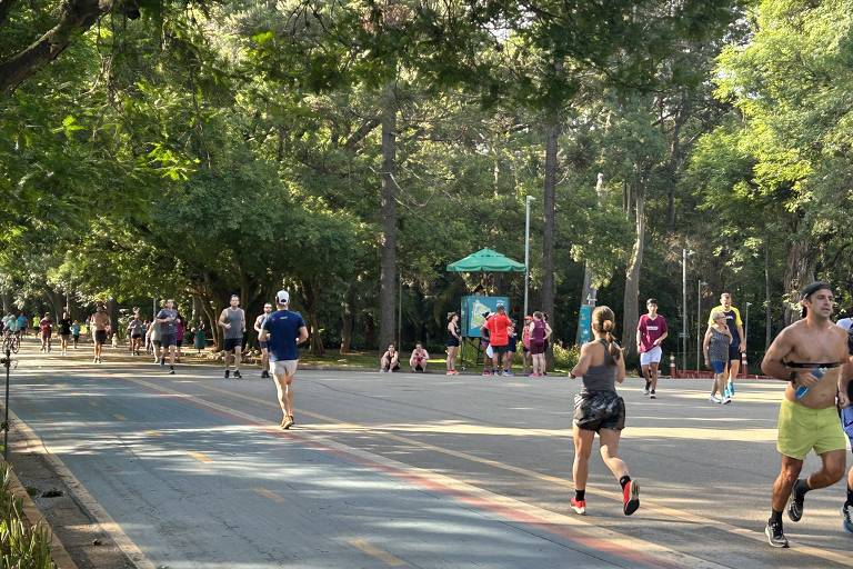 Parques de SP têm transmissão de Paralimpíadas e caminhada noturna neste fim de semana