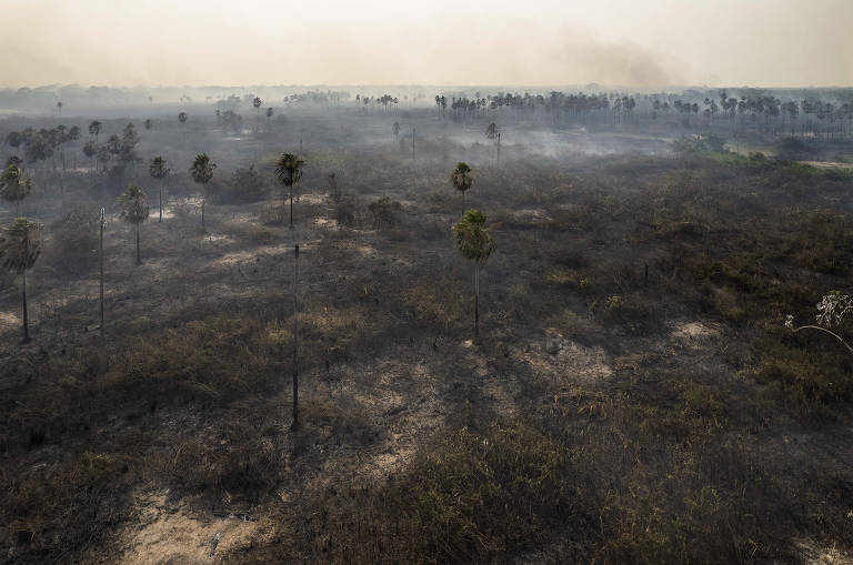 Moradores do pantanal ficaram cercados por fogo recorde em novembro de 2023