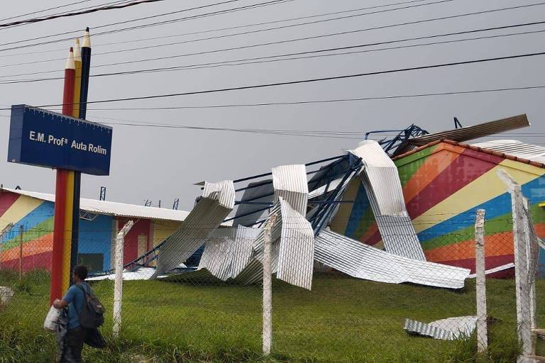 Chuva derruba mais de 100 árvores em SP