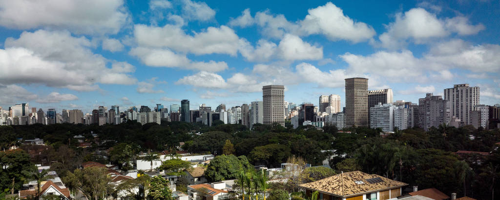 Imagem aérea mostra região com muitas árvores e prédios ao fundo