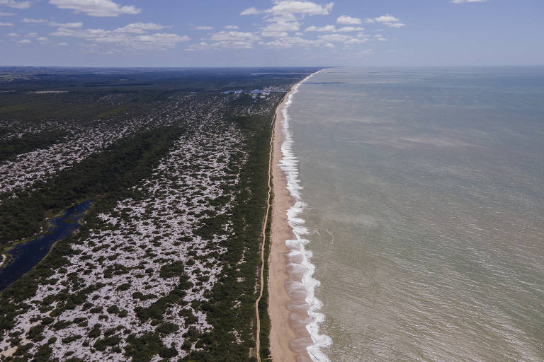 Vista de drone de praia e restinga