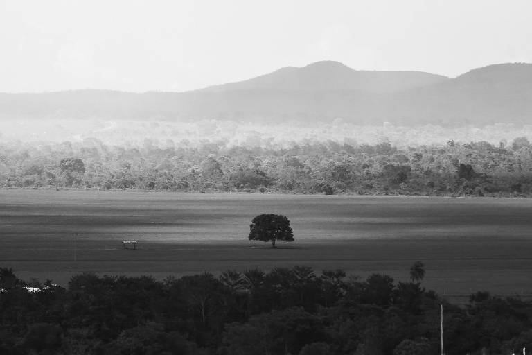 Fogo cerrado