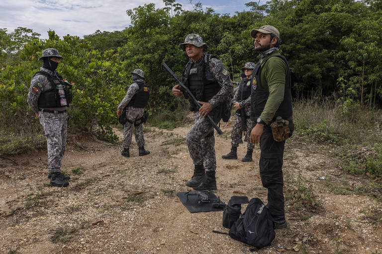 Desmatamento e o avanço da criminalidade na Amazônia