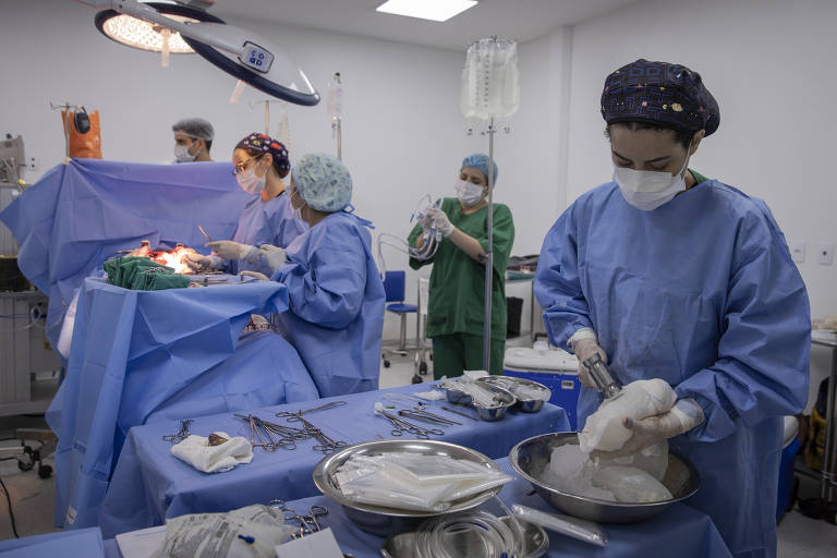 Brasil teve 29 mil transplantes de órgãos em 2023, maior número da história