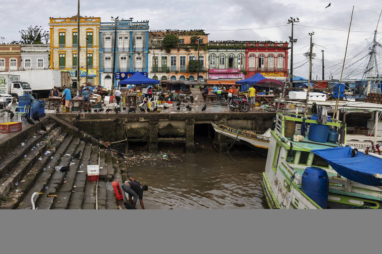 As cidades e estados com mais pretos, brancos, pardos, amarelos e indígenas no Brasil