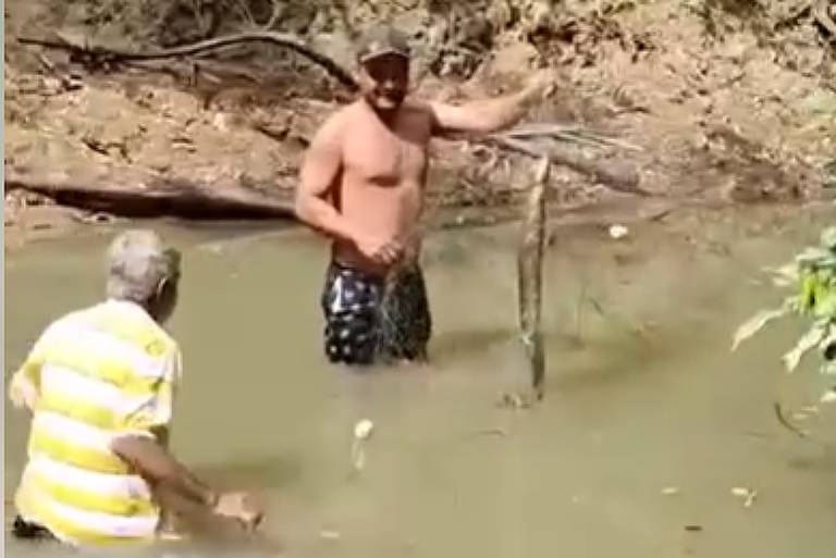 Homem leva choque ao tocar em peixe-elétrico