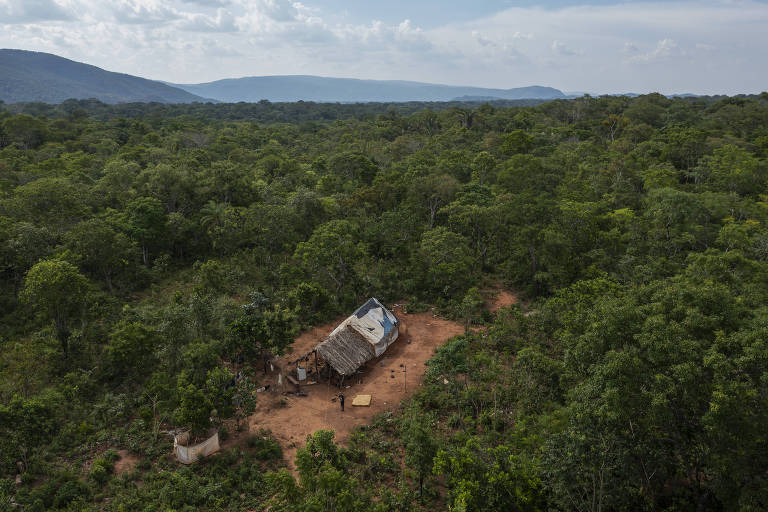 O futuro da Amazônia; o caos fundiário