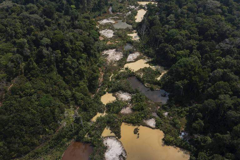 Vista aérea de trecho de floresta densa cortada por várias lagoas marrons, contaminadas pelo garimpo ilegal