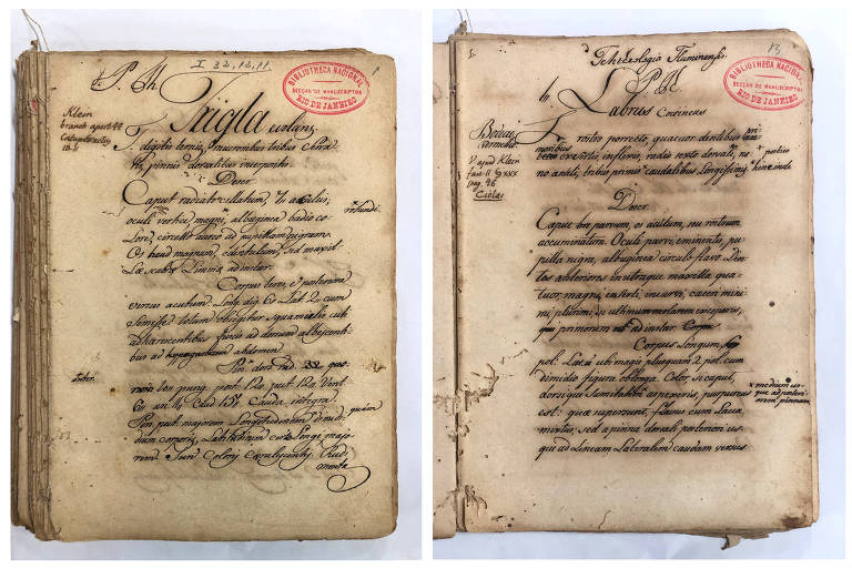 Manuscrito "Icthyologia fluminense", de Frei Conceição Veloso, encontrado no arquivo da Biblioteca Nacional, no Rio de Janeiro