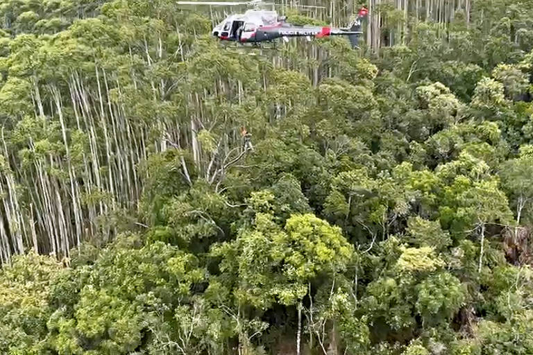 helicóptero sobrevoa área de mata, onde há arvores danificadas abaixo, indicando local de acidente com outro helicóptero