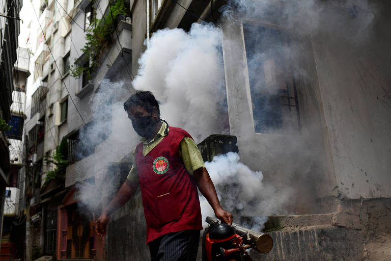 Mudanças climáticas e El Niño causam aumento nos casos de dengue na Europa