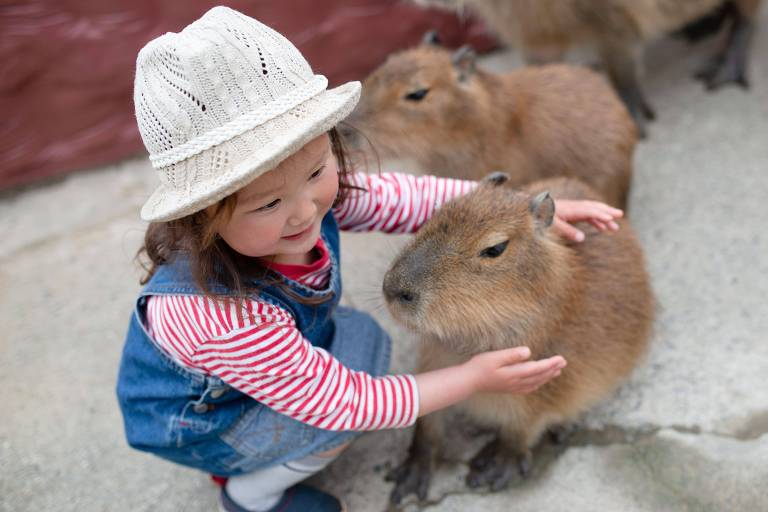 Criança aparece fazendo carinho em capivara
