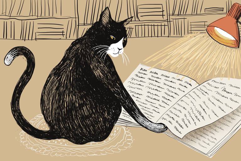 No centro da imagem um gato preto com focinho branco folheia um livro de páginas brancas. O gatos está sentado sobre uma toalha de renda, o livro está iluminado por uma luminária alaranjada, e atrás de toda a cena há uma estante cheia de livros. 