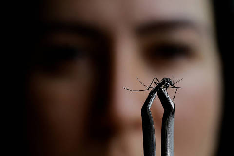 A saleswoman Juliana Machado inspects an Aedes aegypti mosquito found in her house during a dengue outbreak in Brasilia, Brazil February 6, 2024. REUTERS/Ueslei Marcelino ORG XMIT: PPP-UMS0054