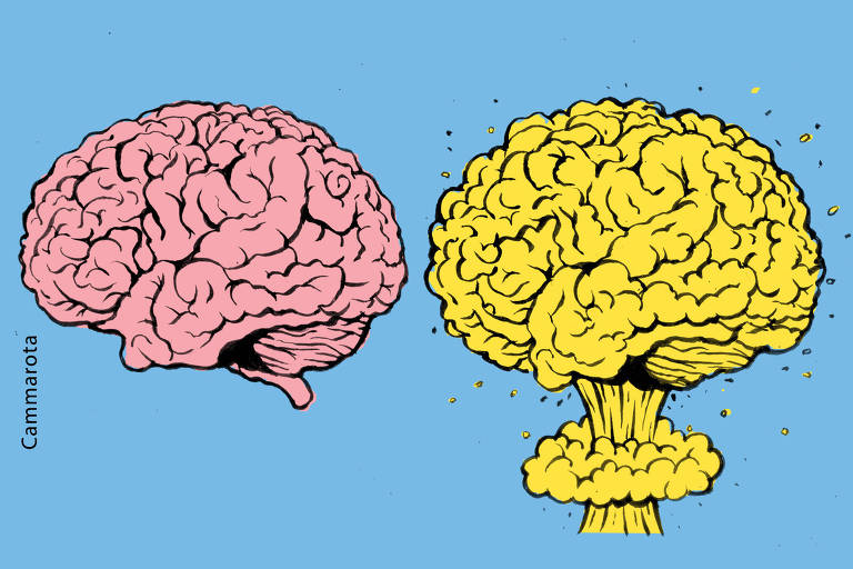 A ilustração figurativa de Ricardo Cammarota foi executada em técnica manual, com pincel e tinta nanquim sobre papel branco e, posteriormente, colonizada digitalmente nas cores: azul céu, rosa e amarelo.  A imagem, na horizontal, proporção 17,5cm x 9,5cm, apresenta à esquerda um cérebro cor rosa, estilizado, com contornos com linhas pretas e, à direita, uma imagem, semelhante ao formato e tamanho do cérebro ao lado, em cor amarelo, porém, a imagem é de uma explosão estilizada de uma bomba atômica.