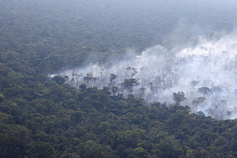 Finanças climáticas no centro da agenda do G20