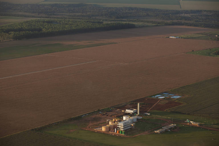 Setor diz ter como atender aumento de 20% na mistura do biodiesel no diesel