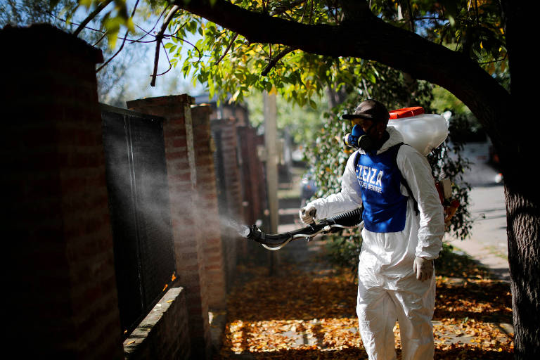 Argentina vive explosão de casos de dengue e invasão de mosquitos