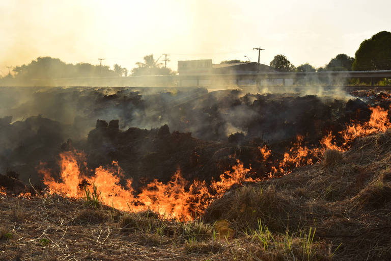 Fumaça de queimadas encobre Boa Vista e outras cidades de Roraima