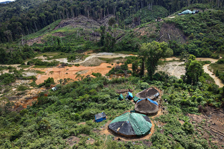 Pulitzer Center promove seminário online sobre jornalismo na Amazônia