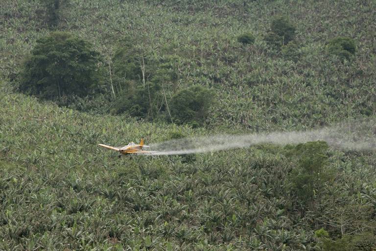 Ibama restringe uso de agrotóxico nocivo a abelhas