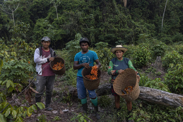 Grau de felicidade de povos tradicionais empata com países ricos