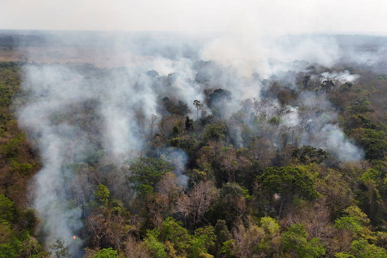 Incêndios em áreas de florestas maduras da amazônia cresceram 152% em 2023, aponta estudo