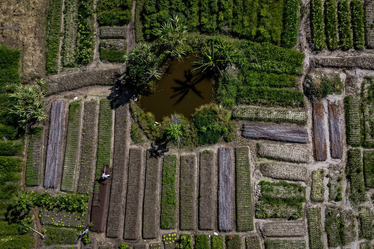 Ditadura investigou Fazenda do Povo, projeto pioneiro de reforma agrária na Bahia